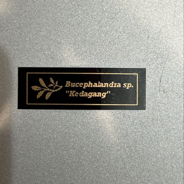 Label Usage Image