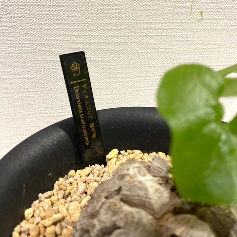 Label Usage Image