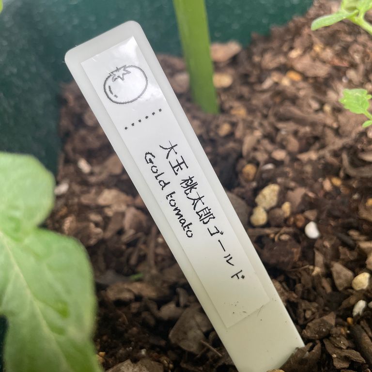 Label Usage Image