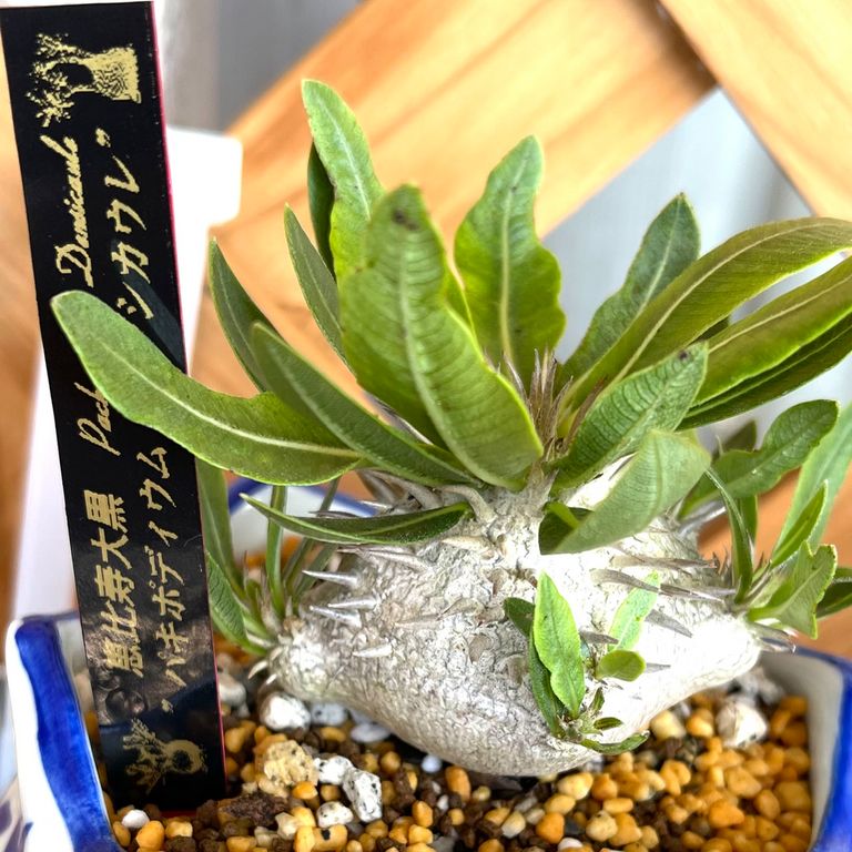 Label Usage Image