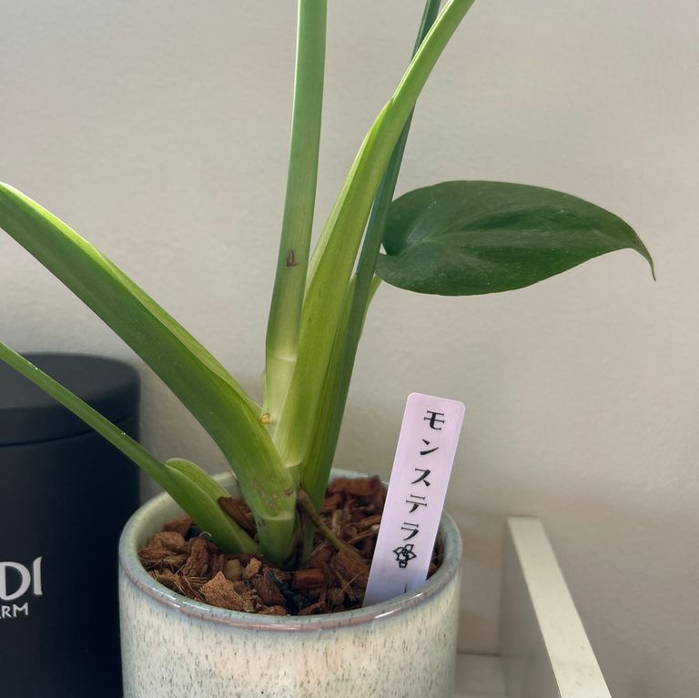 Label Usage Image