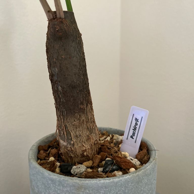 Label Usage Image