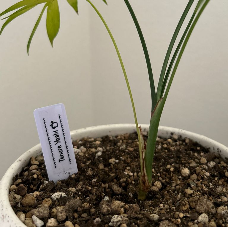 Label Usage Image