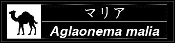 Label Usage Image