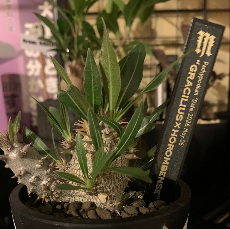 Label Usage Image