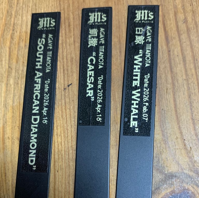 Label Usage Image