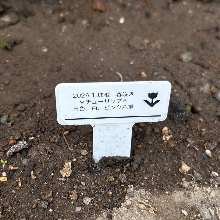 Label Usage Image